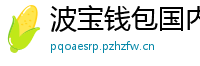 波宝钱包国内下载